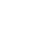 ppt-icon
